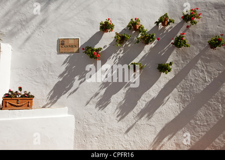 Tipica strada di fiori nella città vecchia di Marbella Malaga Costa del Sol Andalusia Spagna Foto Stock