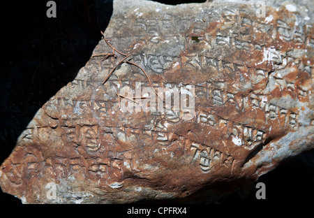 Mani che mostra in pietra scolpite preghiere a Chhairo Gompa (monastero) vicino a Marpha. Foto Stock