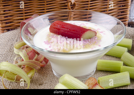 Appena tagliato il rabarbaro organico con yogurt e rosa di zucchero in una ciotola Foto Stock