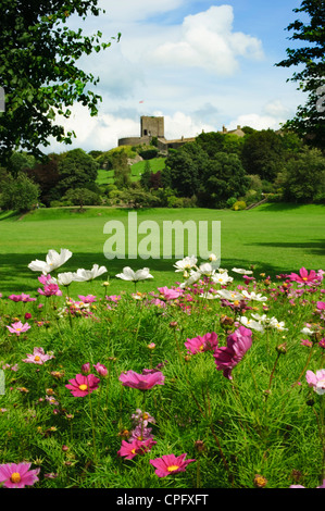 Clitheroe Castle nel Ribble Valley Lancashire Inghilterra Foto Stock