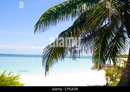 Spiaggia caraibica in Cayo Santa Maria, un'isola circondata da barriere coralline e acque cristalline e spiagge di sabbia bianca. Foto Stock