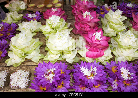 Fiori di loto utilizzato per le offerte, il Tempio della Reliquia del Dente o Sri Dalada Maligawa, Kandy, Sri Lanka Foto Stock