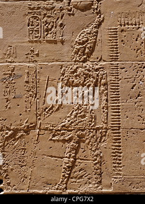 L'Egitto. Resti del tempio di Amenofi III. Riva occidentale del Nilo. Area di Luxor. Foto Stock