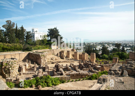 Cartagine, Tunisia - L' Acropolium, Byrsa Hillm rovine Foto Stock