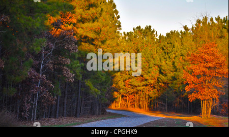 Paesaggio Foto Stock