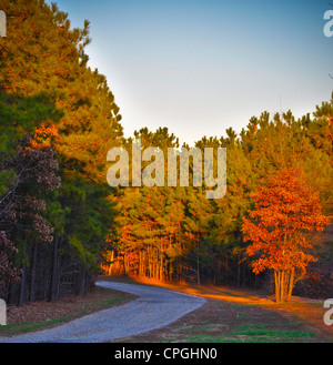 Paesaggio. Foto Stock