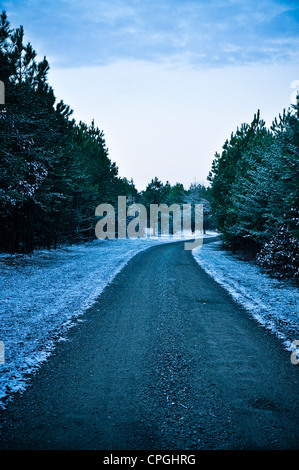 Strada di inverno. Foto Stock