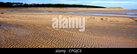 Holkham Bay Beach Riserva Naturale Nazionale Peddars way North Norfolk sentiero costiero, Holkham village, Costa North Norfolk, Inghilterra Foto Stock