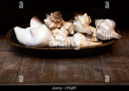 Conchiglie di mare nella ciotola sul pavimento in legno Foto Stock