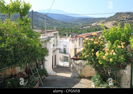 Istron Kalo Horio, Agios Nikolaos, Golfo di Mirabello, Lassithi, Creta, Grecia, Mediterraneo, Europa Foto Stock