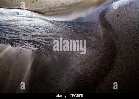 Pudding Creek in Fort Bragg California con un anatra nell'angolo superiore destro e impronte nella sabbia in basso a sinistra Foto Stock