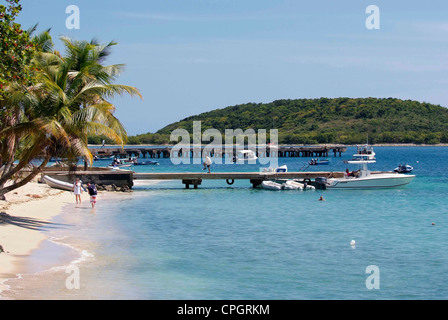 PUERTO RICO - VIEQUES Esperanza Beach Foto Stock