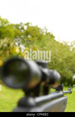 Guardando lungo un mirino telescopico e giù la canna di un fucile ad aria  compressa con alberi e erba in background Foto stock - Alamy