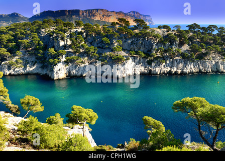 Calanques di Port pin in Cassis in Francia nei pressi di Marsiglia Foto Stock