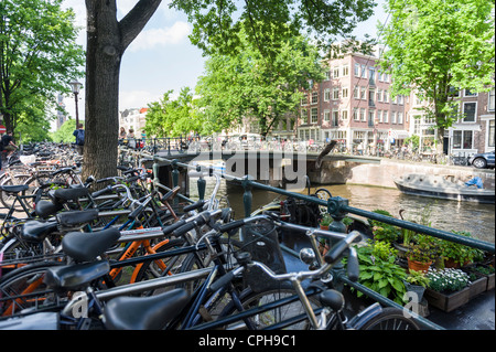 Biciclette per le strade di Amsterdam, Paesi Bassi Foto Stock