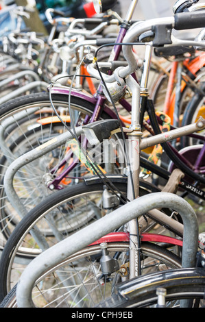 Biciclette per le strade di Amsterdam, Paesi Bassi Foto Stock