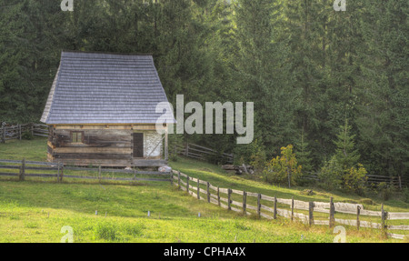 Tradizionale rumena caratteristica casa per una regione specifica del paese chiamato 'Motilor paese" in Apuseni Montagne. Foto Stock