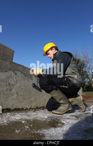 Mason lavorando sulla parete grezza Foto Stock