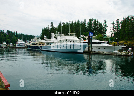 La pesca del salmone,aprile punto,Quadra Island,famoso Chinook la pesca al salmone, Campbell River,l'isola di Vancouver, British Columbia, Canada Foto Stock