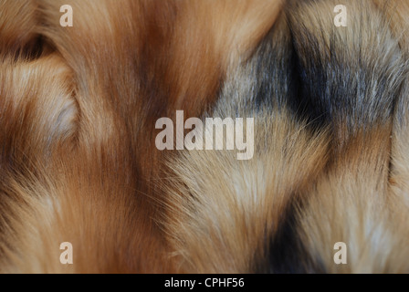 Pelliccia di volpe rossa full frame close-up Foto Stock