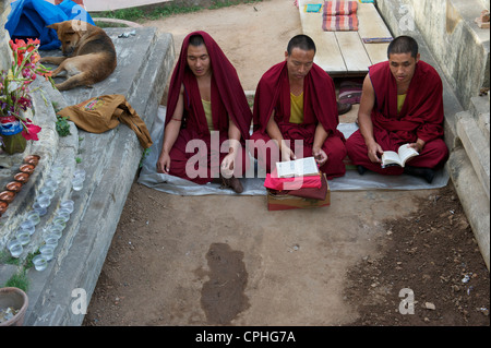 Tempio di Mahabodhi, casa del Banyan Tree sotto la quale il Signore ha ricevuto Budha illuminismo, Bodh Gaya, Bihar, in India Foto Stock