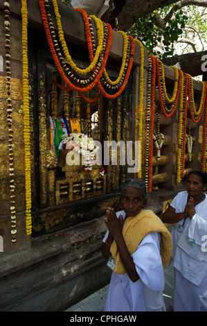 Tempio di Mahabodhi, casa del Banyan Tree sotto la quale il Signore ha ricevuto Budha illuminismo, Bodh Gaya, Bihar, in India Foto Stock