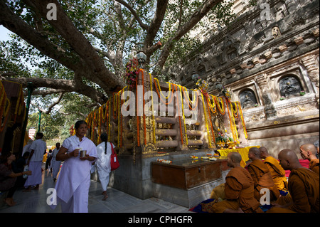 Tempio di Mahabodhi, casa del Banyan Tree sotto la quale il Signore ha ricevuto Budha illuminismo, Bodh Gaya, Bihar, in India Foto Stock