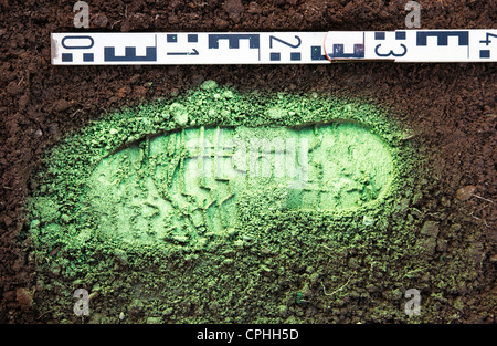 La polizia di indagine della scena del crimine. La polizia salva impronte in una scena del crimine. Foto Stock