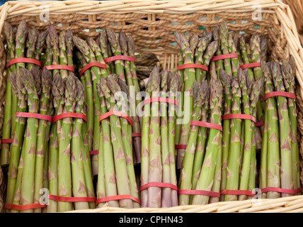 Mazzetti di asparagi Foto Stock