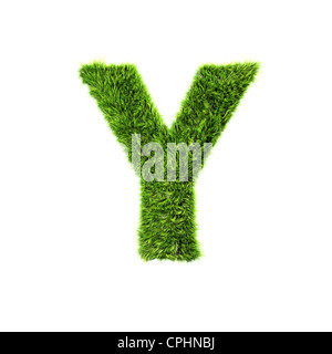 3d erba lettera isolata su sfondo bianco - Y Foto Stock
