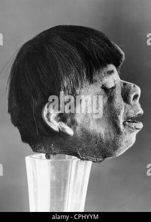 Una una testa rimpicciolita, 1930 Foto Stock