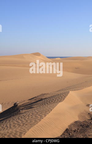 Paesaggio di dune di Maspalomas Foto Stock