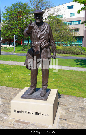 Statua di Harold Dickie Bird OBE, pensionato cricket arbitro, Barnsley, South Yorkshire, Inghilterra, Regno Unito. (Ora posto su un plinto superiore per evitare atti di vandalismo) Foto Stock