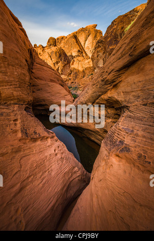 La Valle del Fuoco del parco statale è il più antico parco dello stato del Nevada, STATI UNITI D'AMERICA Foto Stock