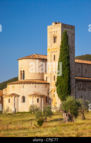 La mattina presto a Sant Antimo Abbey, Toscana Italia Foto Stock