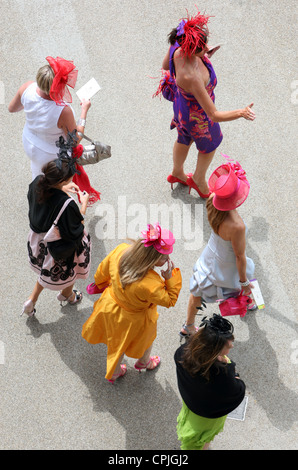 Elegantemente vestito le donne indossano copricapi di fantasia alle corse dei cavalli, Ascot, Regno Unito Foto Stock