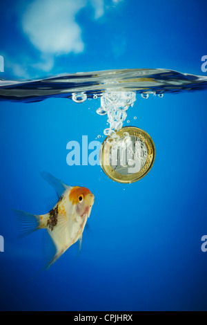 1 Euro moneta che affonda in acqua blu Foto Stock