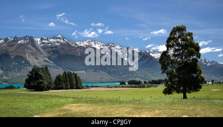 La gamma della montagna vicino a Queenstown, Otago, Isola del Sud, Nuova Zelanda Foto Stock