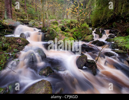 Wyming Brook Riserva Naturale al confine della città di Sheffield e il Parco Nazionale di Peak District Foto Stock