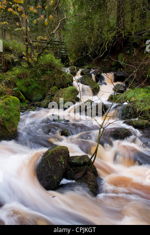 Wyming Brook Riserva Naturale al confine della città di Sheffield e il Parco Nazionale di Peak District Foto Stock