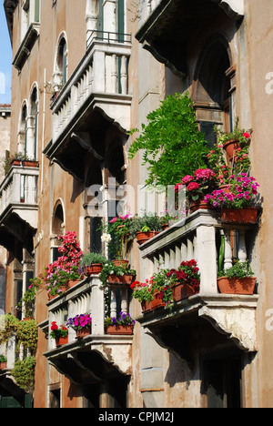 Antiche finestre ad arco con balcone e fiori a Venezia, Italia Foto Stock