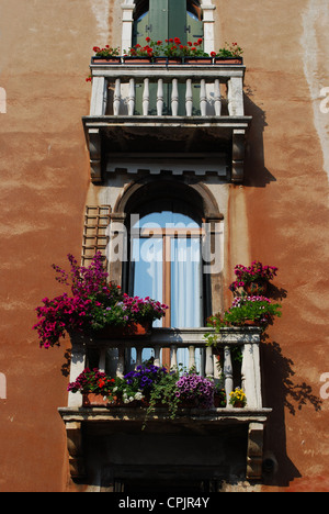 Antiche finestre ad arco con balcone e fiori a Venezia, Italia Foto Stock