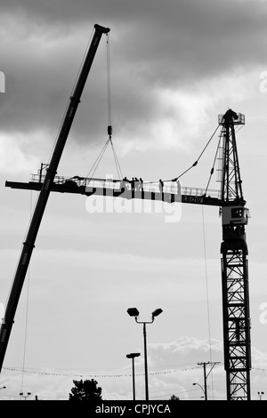 Costruzione i lavoratori che operano su grandi costruzione di gru, Victoria British Columbia, Canada. Foto Stock