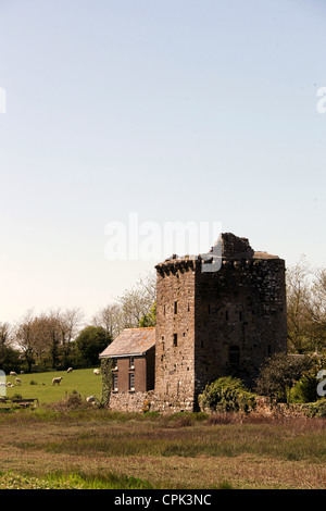 La casa a torre del borgo di angolo che è una torre di Pele Foto Stock