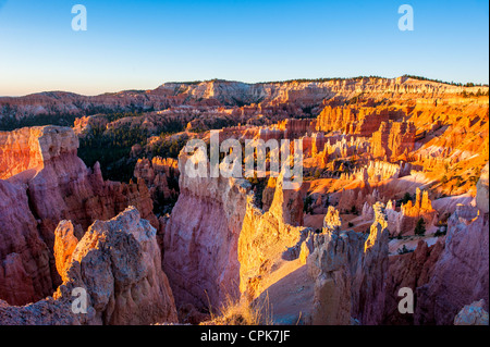 Sunrise nel parco nazionale di Bryce Canyon, Utah, Stati Uniti d'America Foto Stock