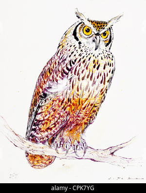 Gufo reale (Bubo bubo) - colore pastello gessetto su carta da Kurt Tessmann Foto Stock