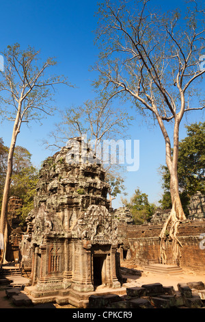 Ta Prohm tempio dettaglio, Siem Reap, Cambogia Foto Stock