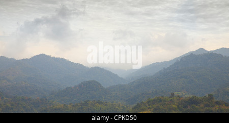 Misty highland vista della foresta pluviale, Malaysia Foto Stock