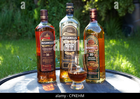 Selezione di bushmills Irish whiskey al malto County Antrim Irlanda del Nord Foto Stock