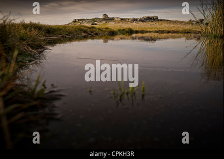 Showery Tor nei pressi di Tor ruvida o Roughtor su Bodmin Moor, Cornwall Foto Stock